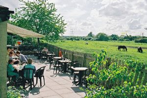 Tea Room Garden